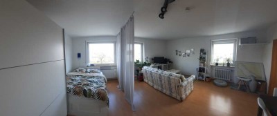 schöne, geräumige 1-Zimmer-Wohnung  in Freising