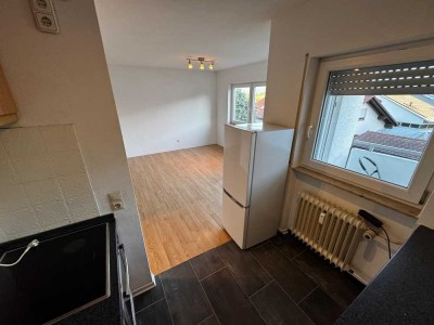Stilvolle 1-Raum-Wohnung mit Einbauküche in Pliezhausen