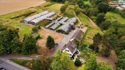 Willkommen im Grünen – Einfamilienhaus mit vielseitigem Grundstück in ruhiger Lage!