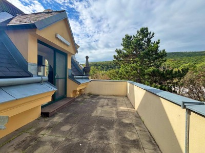 Südwest-Dachterrasse inkl. Blick ins Grüne I 3,20m Raumhöhe I Stellplätze verfügbar I freier Mietzins
