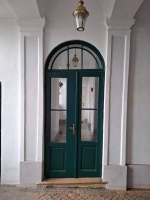 TU-nahes Altbauappartment