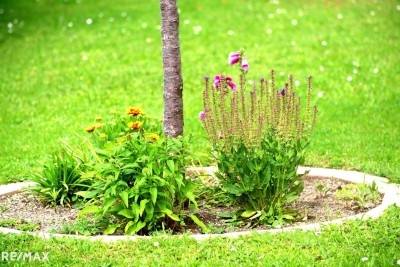 Großer Garten und Blick auf den Anninger - Entzückende Doppelhaushälfte in ruhiger Siedlungslage in Traiskirchen!