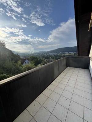 Vom Waldrand ins Maintal blicken !