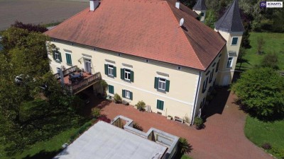 Ein Märchenschloss Nähe Wildon-komplett saniert mit prachtvoller 40.000m² Parkanlage - Biomasseheizung!