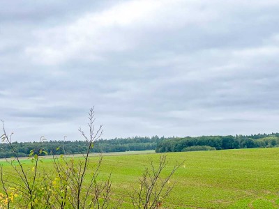 Wohnen mit Blick in`s Grüne!