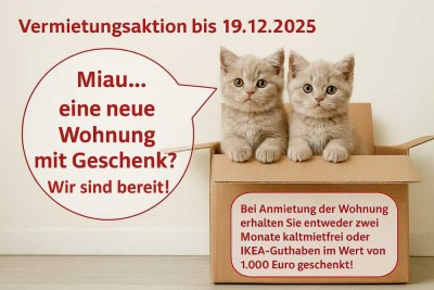Achtung Vermietungsaktion! - Hochwertige 5-Raumwohnung mit Balkon + Laminatboden + EBK-Option!