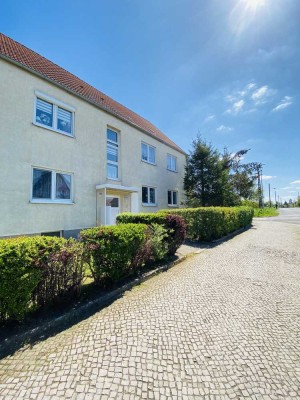 Helle und gemütliche 3-Raumwohnung mit Einbauküche