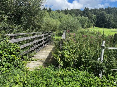 Grosszügiger Renovierungsbedürftiger Gutshof in Märchenhafter Grünlage