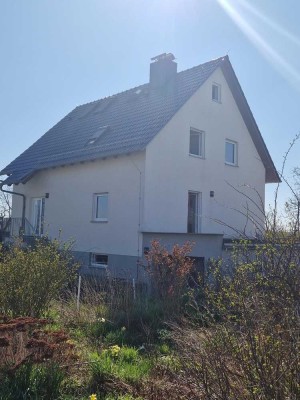 großzügiges Einfamilienhaus mit großem Grundstück