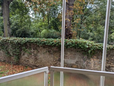 1 Zimmer Apartment in Top Lage direkt am Schlosspark Wiesbaden Biebrich -ohne Maklerkosten-