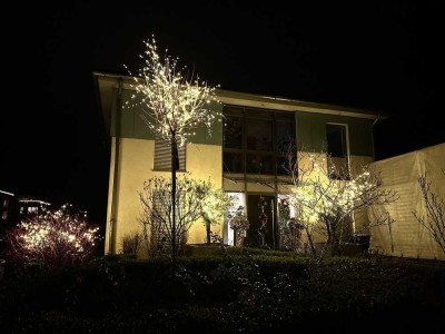 Einfamilienhaus auf dem Petrisberg mit gehobener Ausstattung und schönem Garten