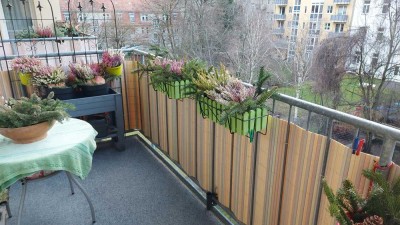 **Vermietete Wohnung in genialer Lage, Balkon mit Blick ins Grüne**