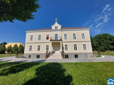 Stilvolle 4-Zimmer-Wohnung in historischem Klostergemäuer an der Maurer Lange Gasse