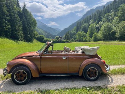 MARIAZELLER LAND - in einem traumhaften Seitental - Haus mit extremen Potential !