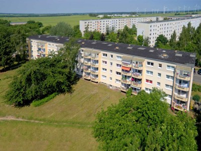 Renovierte 2 Raumwohnung (26.043)