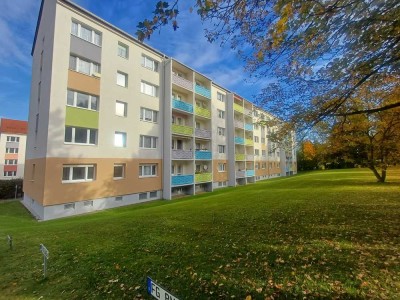 +++ neu renovierte und günstige 3 Zimmer Wohnung +++