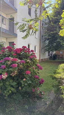 Renovierte 3-Zimmer-Wohnung mit Balkon in Stöcken