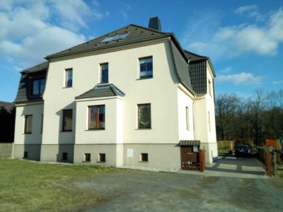 Geräumige 1-Zimmer-Wohnung in Belgershain