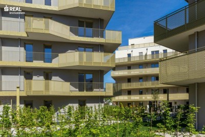 Hirschfeld - Ihr neues Zuhause im Grünen - anfragen, besichtigen, einziehen - 41 bis 96 m²