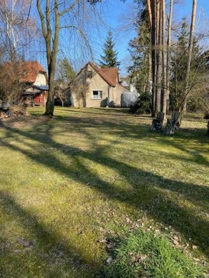Bungalow mit 100m² Wohnfläche und Grundstück in Schildow