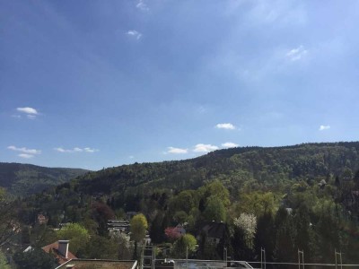 3-Zimmer-Penthouse: PROVISIONSFREI mit gehobener Innenausstattung und Dachterrasse in Heidelberg