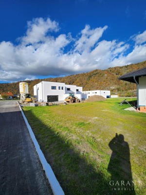 Ihr Traumhaus mit Donaublick in Pyrawang