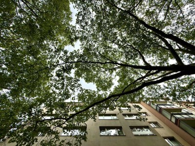 Betreutes Wohnen ab 50 Jahre in der City-West!