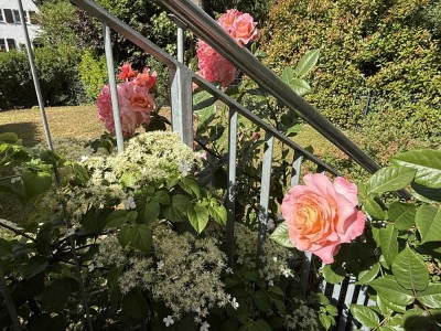 Ihr Rückzugsort in der Stadt: 2-Zimmer-Wohnung mit 120 m² Garten am Schwarzbach