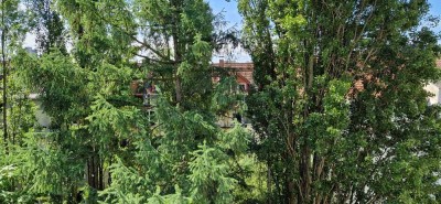Für ein sehr citynahe, schöne 3 ZKB suchen wir einen Mieter! Es ist die letzte Wohnung im Objekt