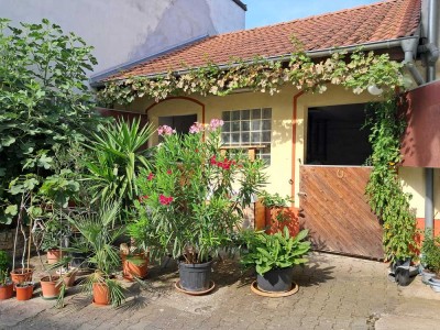 Hofreite mit Pferdeboxen