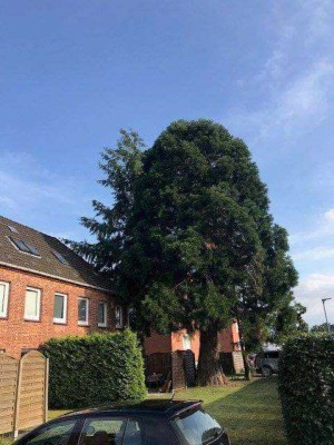 Helle 2 Zi-Whg. mit Terrasse im 5-Familienhaus mit Gartenanteil in Geesthacht-Grünhof!