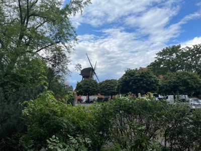 Ab nach Buckow! Singleapartment mit Einbauküche