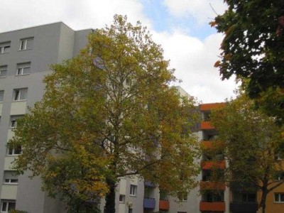 Fassadenvollwärmeschutz, Aufzug und ruhige Stadtlage