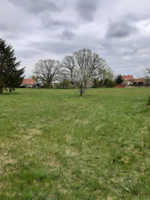 Altersgerechtes Wohnen in grüner Natur!