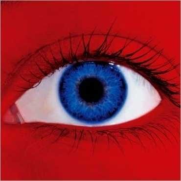 Ein Kuschelnest - Dachau -   2,5-Zi- Whg! Nur wenige Gehminuten bis zur Dachauer Altstadt!