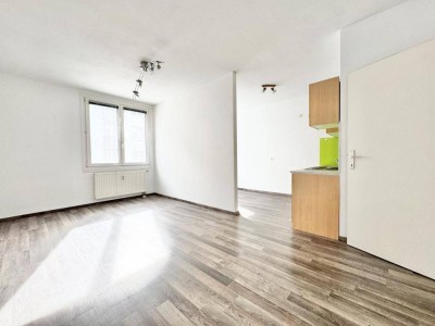 TOPLAGE - NÄHE DONAUZENTRUM | HELLE SINGLE-WOHNUNG | U-BAHN-NÄHE