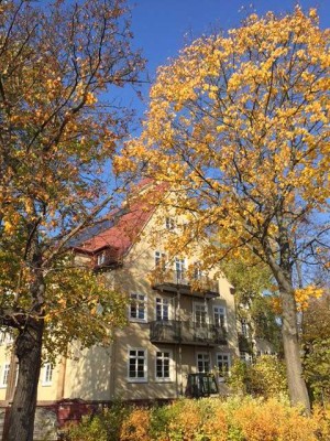 Schöne großzügige 2  Zimmerwohnung Balkon und Tageslichtbad