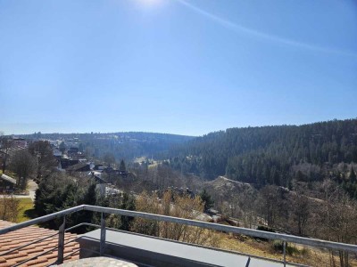 Stilvolle 5-Zimmer-Maisonette Wohnung mit zwei Balkonen und Schwarzwaldblick