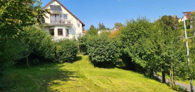 4-Zimmer-Maisonette-Wohnung (über 2 Etagen) mit Nutzfläche und großem Garten in Heidenrod