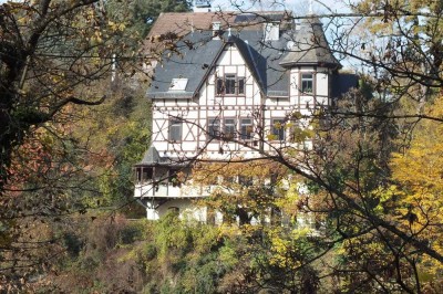 Traumhafte Altbauwohnung im Kulturdenkmal mit Blick über Eppstein