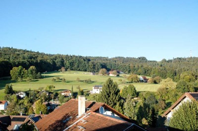 Wohnen wie im Urlaub: Einfamilienhaus mit Einliegerwohnung in Walkersbach zu verkaufen