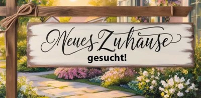 Suche für Nette Rentnerin kleine feine Wohnung