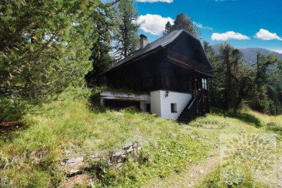Idyllisches Almhaus mit Charakter auf der Turrach !