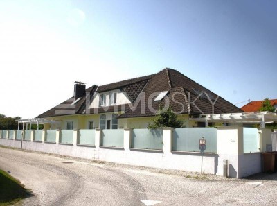 Imposante Landhaus-Villa samt Nachbargrundstück