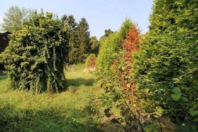 Gestaltungspotenzial: Wohn- und Geschäftshaus in zentraler Lage von Eschweiler