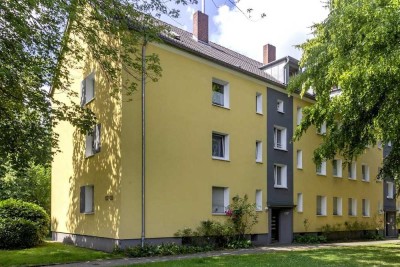 Gemütliche Single-Wohnung