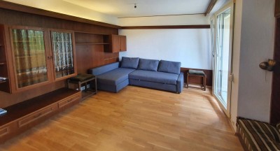 Garconiere Graz Neu-Hart, Webling