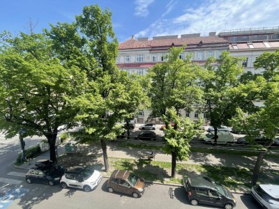 Blick ins Grüne - hochwertig sanierte 2-Zimmer Wohnung im Nibelungenviertel (Erstbezug)