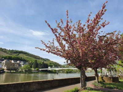 Großzügiges Ferienhaus mit Moselblick im Zentrum von Zell