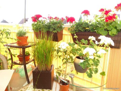 Gemütliche 3-Zimmer-Eigentumswohnung für Ihre Familie oder als Kapitalanlage